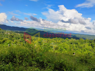 1/2 Acre In Holly Hill