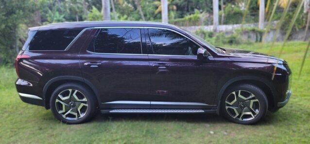 Hyundai Palisade Vans & SUVs Manor Park