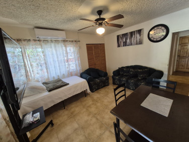 Private 1-Bedroom Apartment