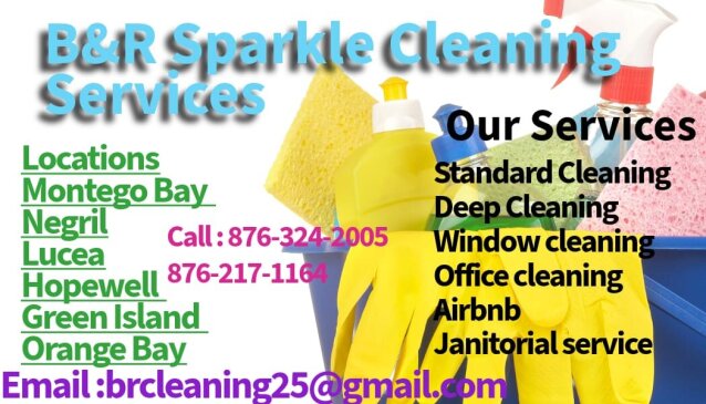 Cleaning Services