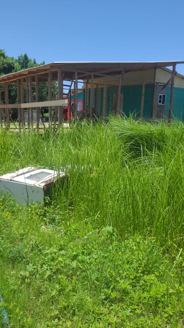 Quarter Acre Of Land