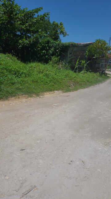 Quarter Acre Of Land