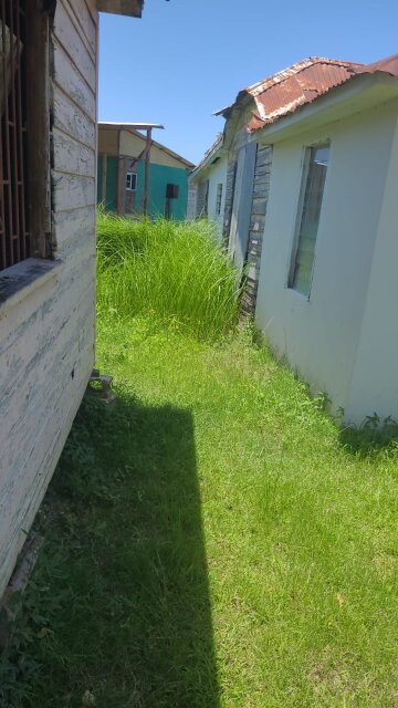 Quarter Acre Of Land