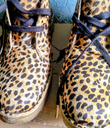 Desert Clarks 