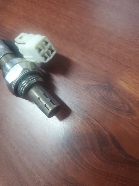Oxygen Sensor