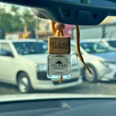 Car Air Freshener Bottle Diffuser Auto Accessories Kingston