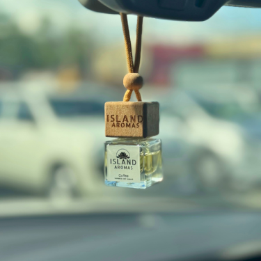 Car Air Freshener Bottle Diffuser