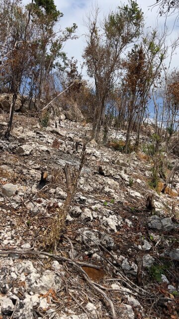 Albion Heights Land