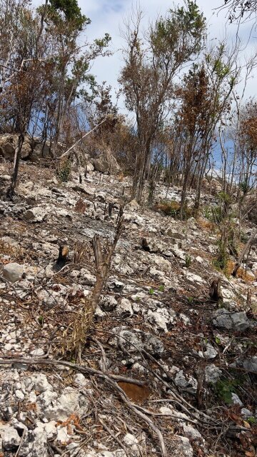 Albion Heights Land