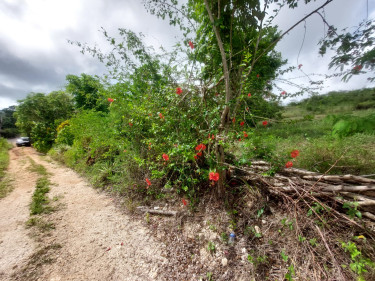 1 Acre Of Land