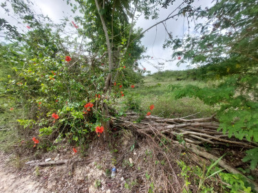 1 Acre Of Land