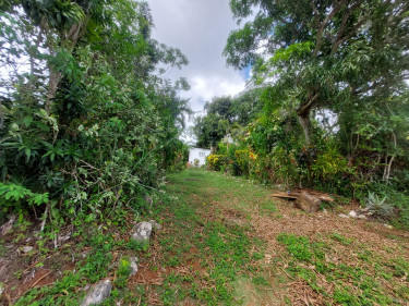 1 Acre Of Land