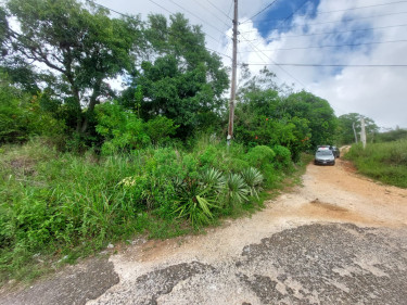1 Acre Of Land