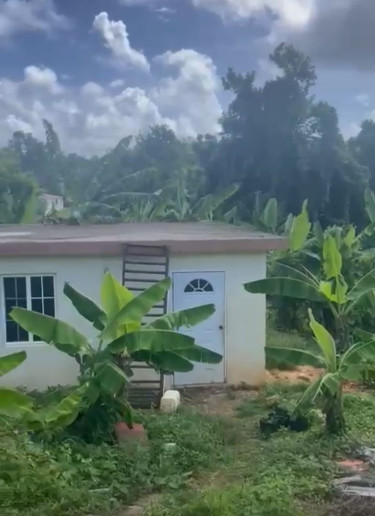 1 Bedroom Houses Negril