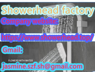 Bathroom Handheld Shower Head With Bathing Filter