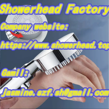 Bathroom Handheld Shower Head With Bathing Filter