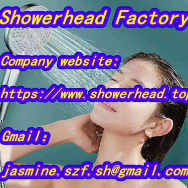 Bathroom Handheld Shower Head With Bathing Filter