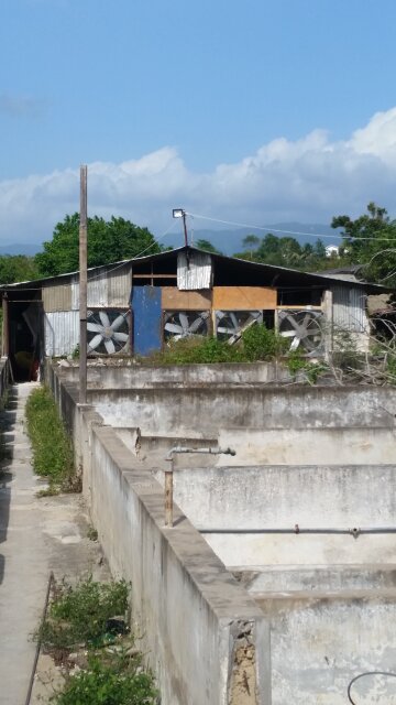 Poultry House Feed Equipment
