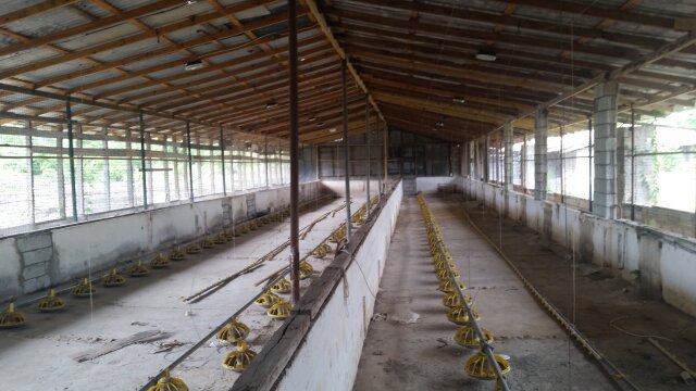 Poultry House Feed Equipment