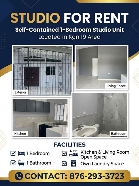 1 Bedroom 1 Bath Studio For Rent In Kingston Apartments Havendale