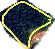 1/4 Acre Land Comma Pen