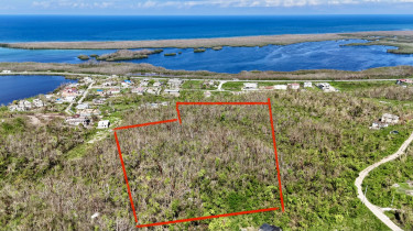 7 Acres For Sale In Greenside Trelawny  Land Kingston