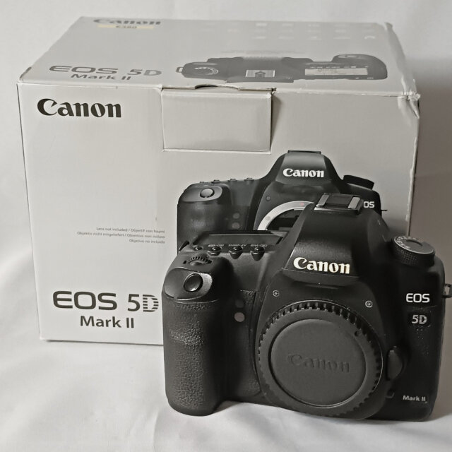 Canon Eos 5D Mark II With Zoom Lens 24 105mm