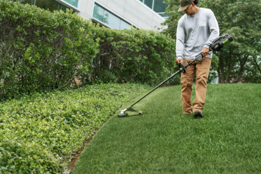 Weed Whacking And Lawn Care  Maintenance Kingston And St Catherine