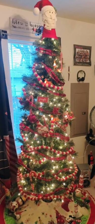 Christmas Tree 7'5 Decorations Kingston 