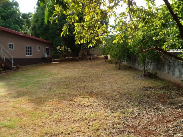 S&T Yard Lawn For Rent