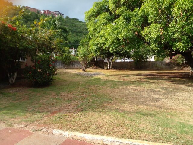 S&T Yard Lawn For Rent