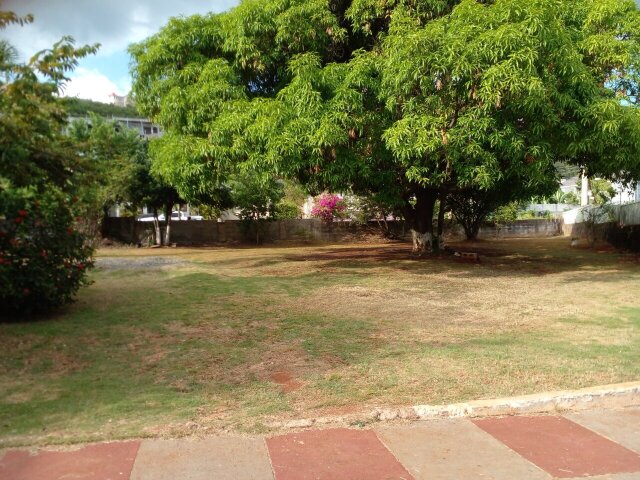 S&T Yard Lawn For Rent