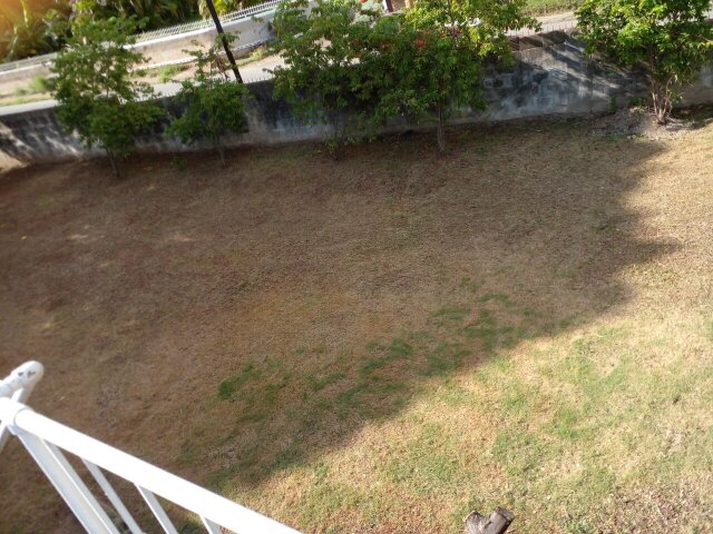S&T Yard Lawn For Rent
