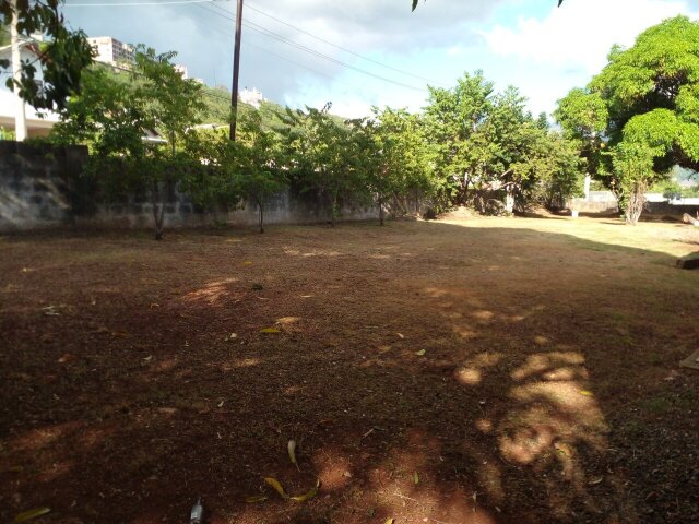 S&T Yard Lawn For Rent