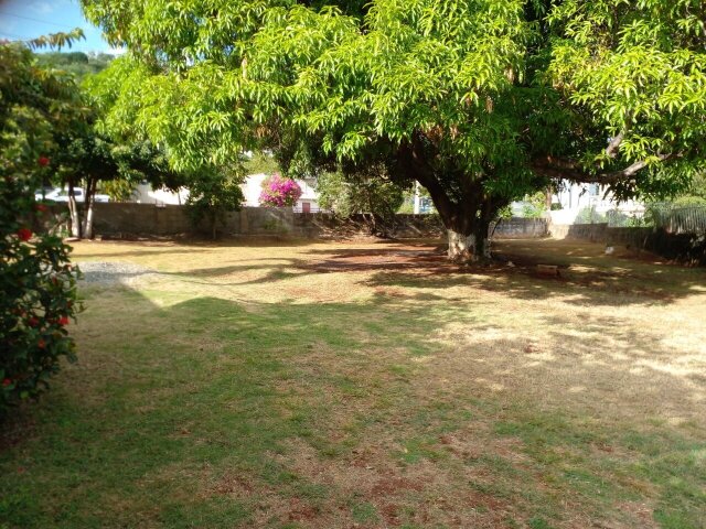 S&T Yard Lawn For Rent