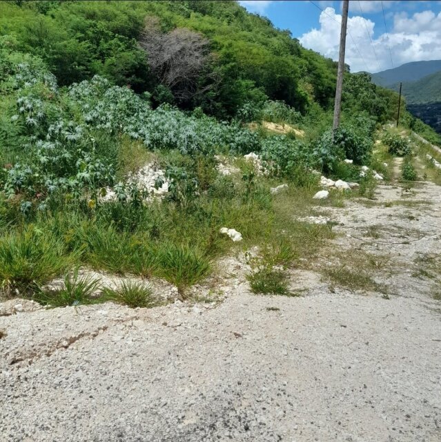 BULL BAY LANDs FOR SALE Or TRADE FOR CAR!