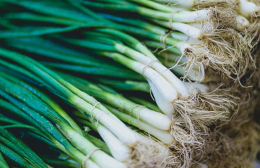 White Root Escallion For Sale 350 Per Pound Other Market Southfield Area