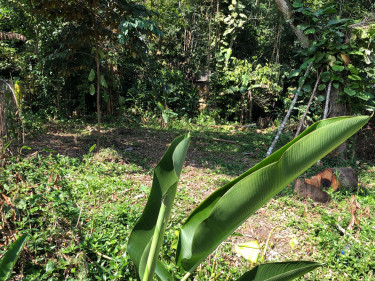 0.6 Acres  Land Lot No. 89 Brookslevel Road, Golden Spring, Kingston 9, St. Andrew