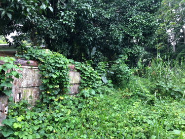 0.6 Acres 