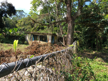 0.6 Acres 