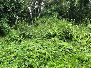 0.6 Acres 