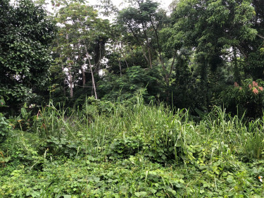 0.6 Acres 
