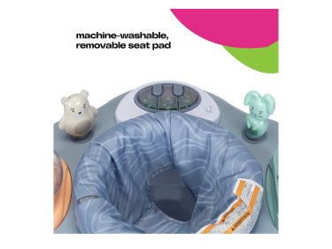 Play-in-Place Activity Center