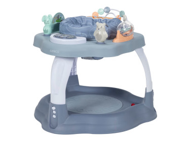 Play-in-Place Activity Center