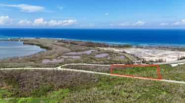 9.7 Acres Of Land/ Sandy Ground Trelawny 