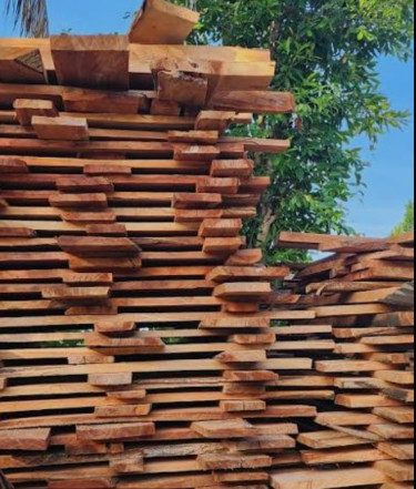 Lumberjack Or Chainsaw Operator Needed Urgent