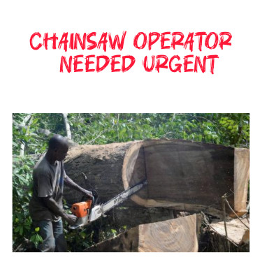 Lumberjack Or Chainsaw Operator Needed Urgent Full Time Jobs Santa Cruz/ St Elizabeth 