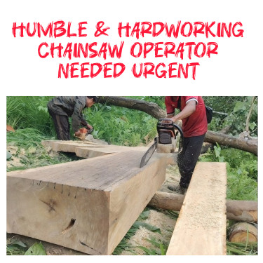 Lumberjack Or Chainsaw Operator Needed Urgent