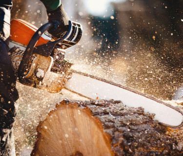 Lumberjack Or Chainsaw Operator Needed Urgent