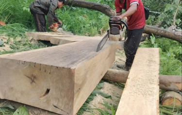 Lumberjack Or Chainsaw Operator Needed Urgent